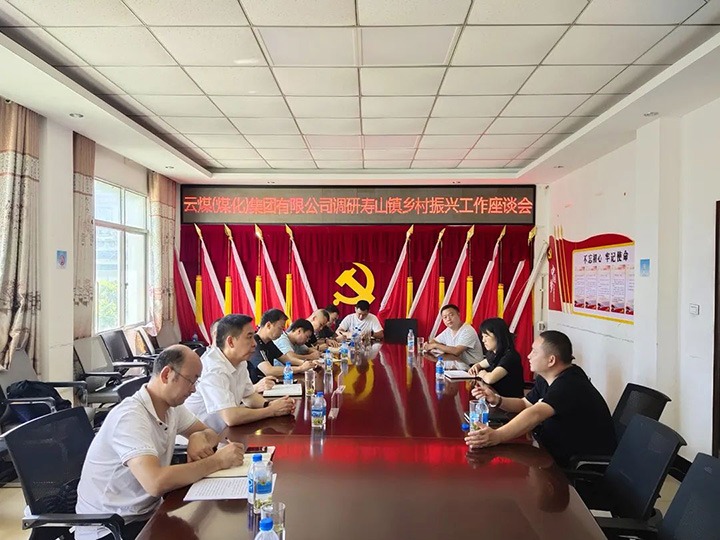 集团党委副书记、工会主席王鑫一行深入集团乡村振兴挂钩帮扶点寿山镇调研