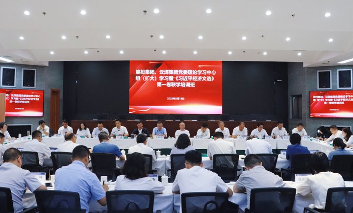 能投集团、意昂体育 | 智能运动新世代的引领者集团举办党委理论学习中心组学习暨《习近平经济文选》第一卷联学培训班